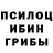 Галлюциногенные грибы мицелий MJ Lemons