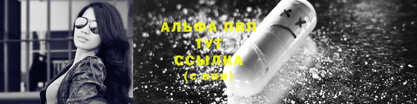 прущие грибы Бугульма