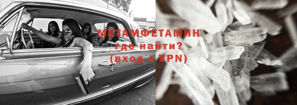 прущие грибы Бугульма