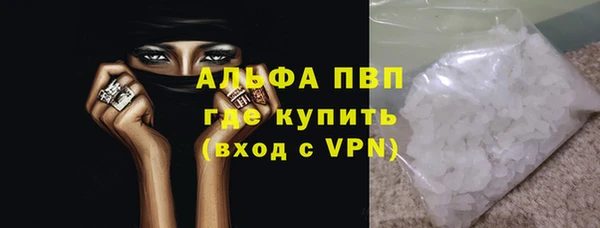 прущие грибы Бугульма