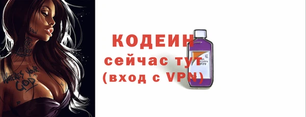 ешки Бородино