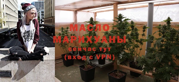 ешки Бородино