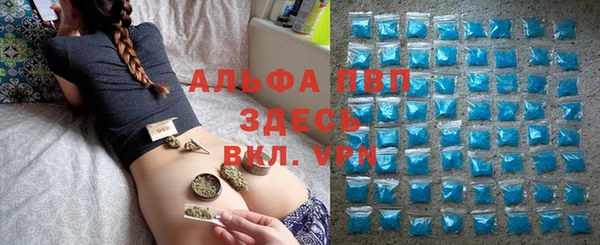 PSILOCYBIN Бронницы