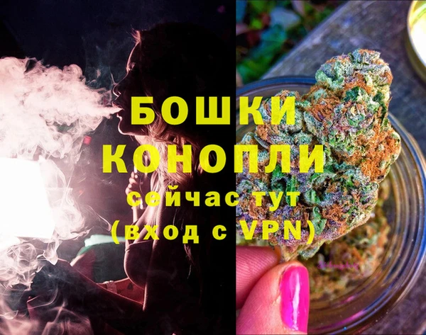 ешки Бородино