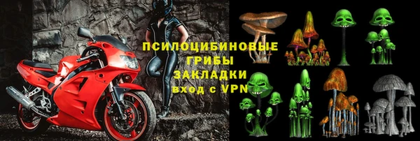 ешки Бородино