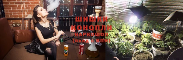 прущие грибы Бугульма