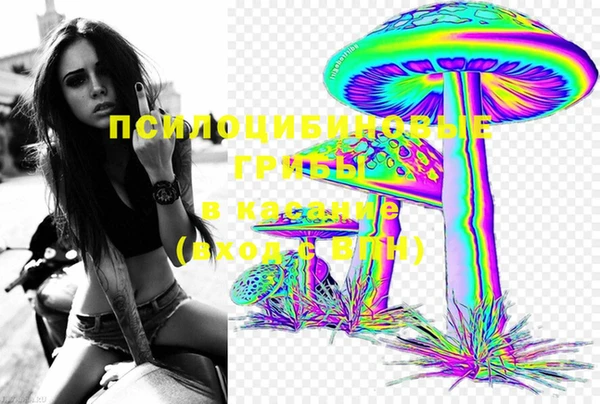 PSILOCYBIN Бронницы