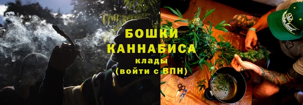 ешки Бородино