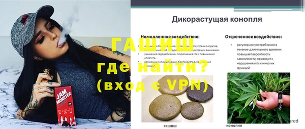 прущие грибы Бугульма