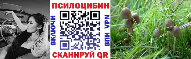 купить наркотики сайты  Копейск  Псилоцибиновые грибы Psilocybine cubensis 